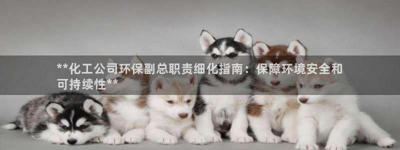 亿万先生官方登录网址：**化工公司环保副总职责细化指南：保障环境安全和
可持续性**