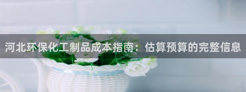 亿万首富手游兑换码：河北环保化工制品成本指南：估算预算的完整信息